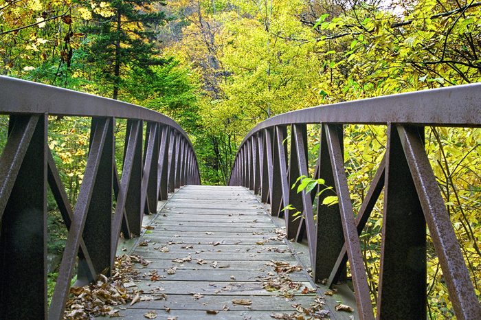Long Trail Bridge