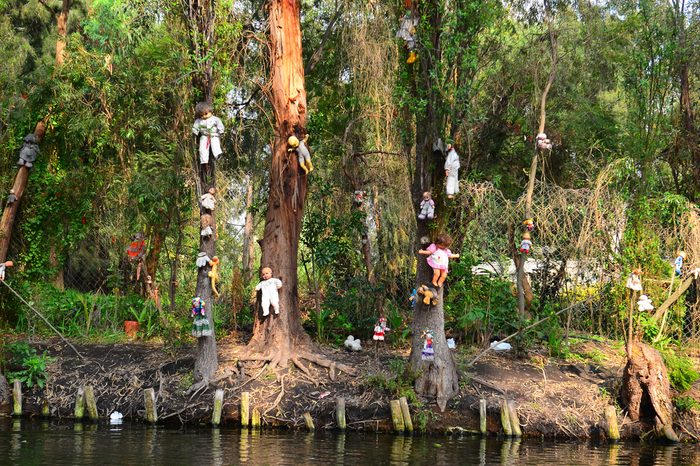 Xochimilco is an island of abandoned dolls. View from the boat.