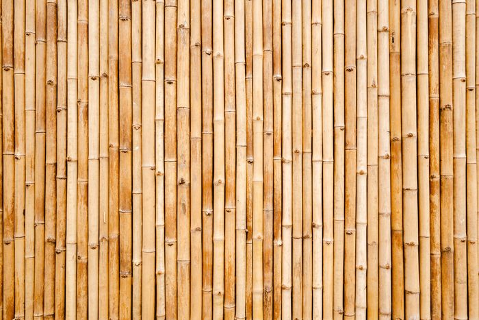 bamboo