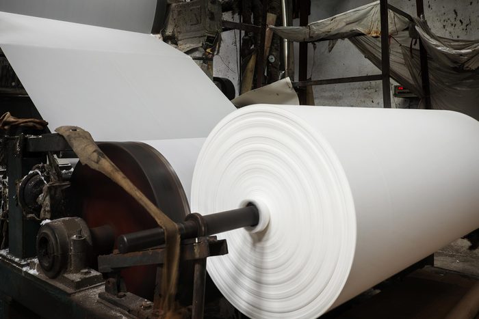 paper mill factory