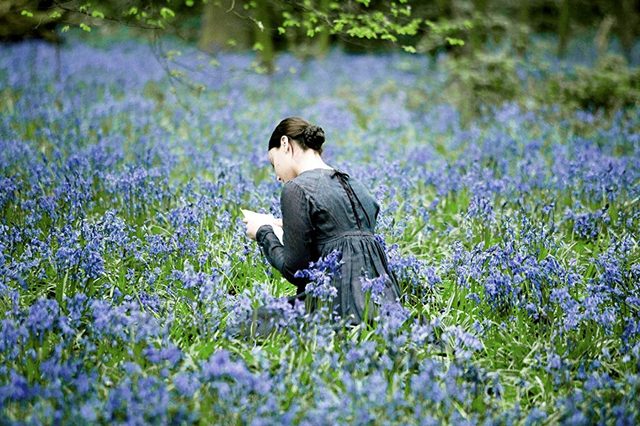 A person reads while kneeling amid a lush field of blossoming blue flowers, surrounded by green foliage and tree branches.