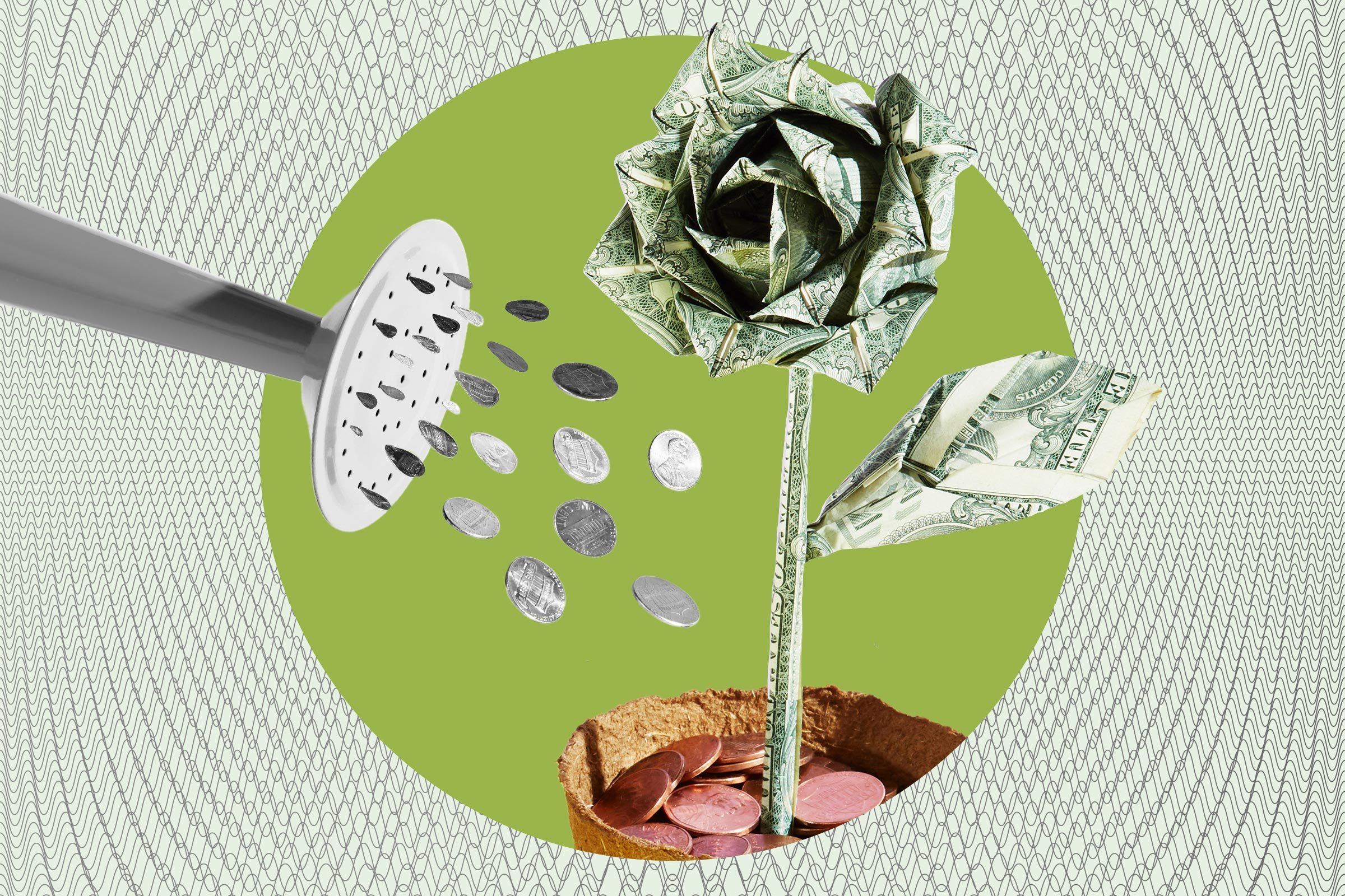 A money flower is watered by coins from a showerhead, set in a patterned background.