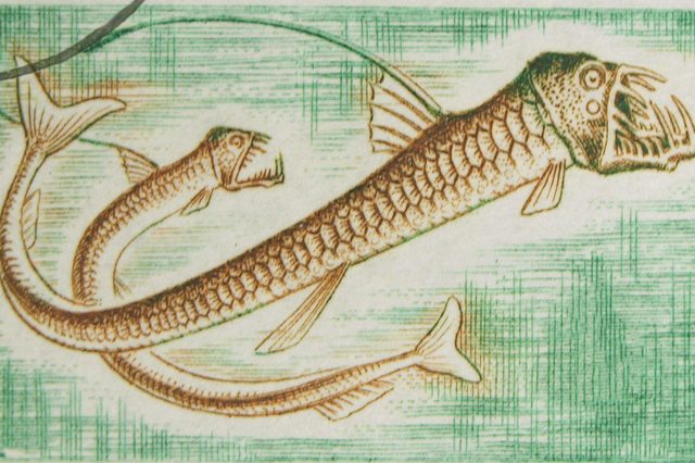Two detailed, long fish with open mouths swim among stylized green lines, creating an abstract underwater scene.