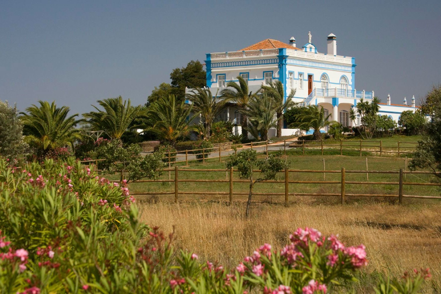 A blue and white villa stands amid palm trees and a fenced garden, set against a clear sky with flowering shrubs in the foreground.