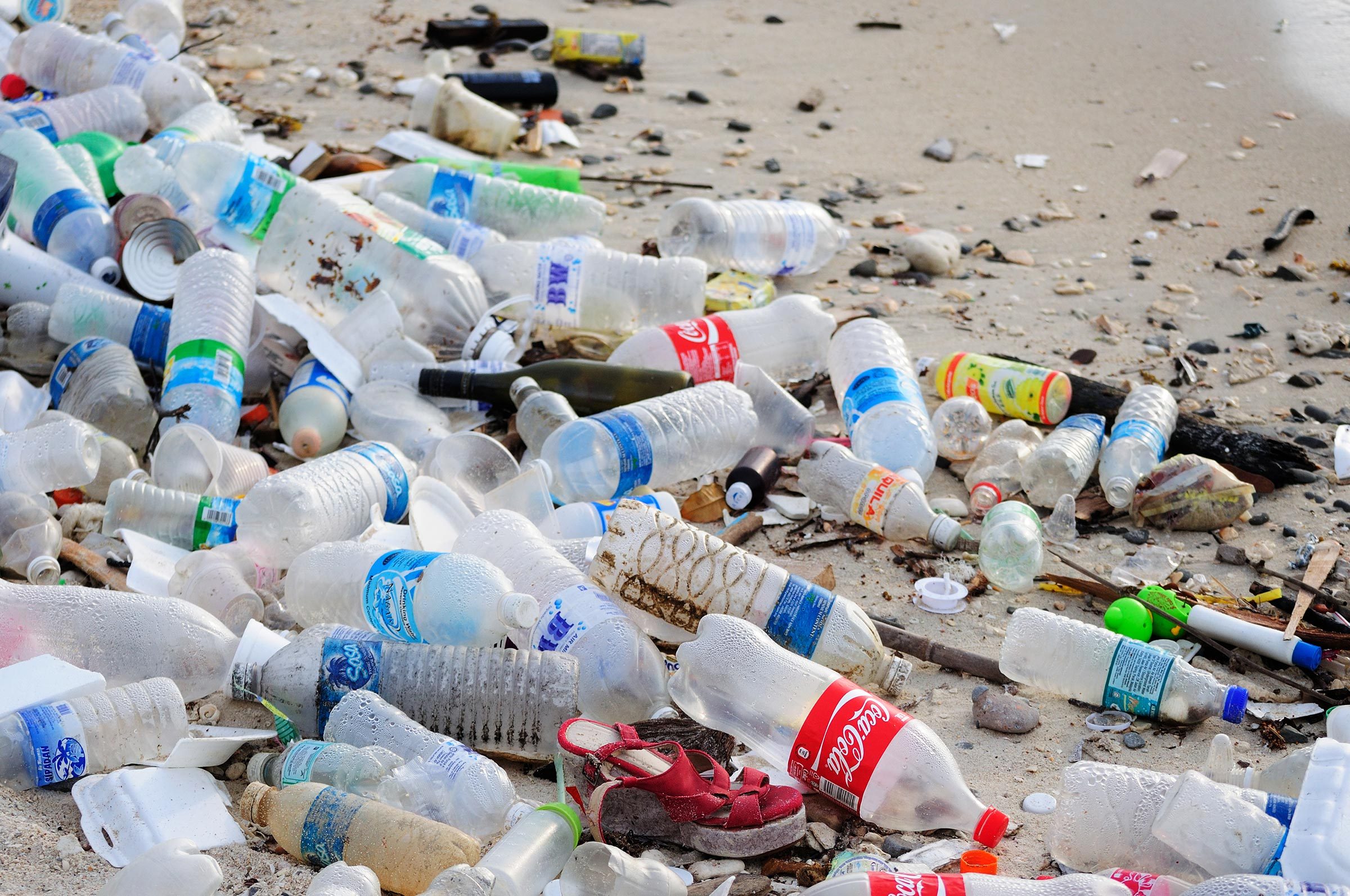 Plastic bottles littering beach, scattered among sand and debris.