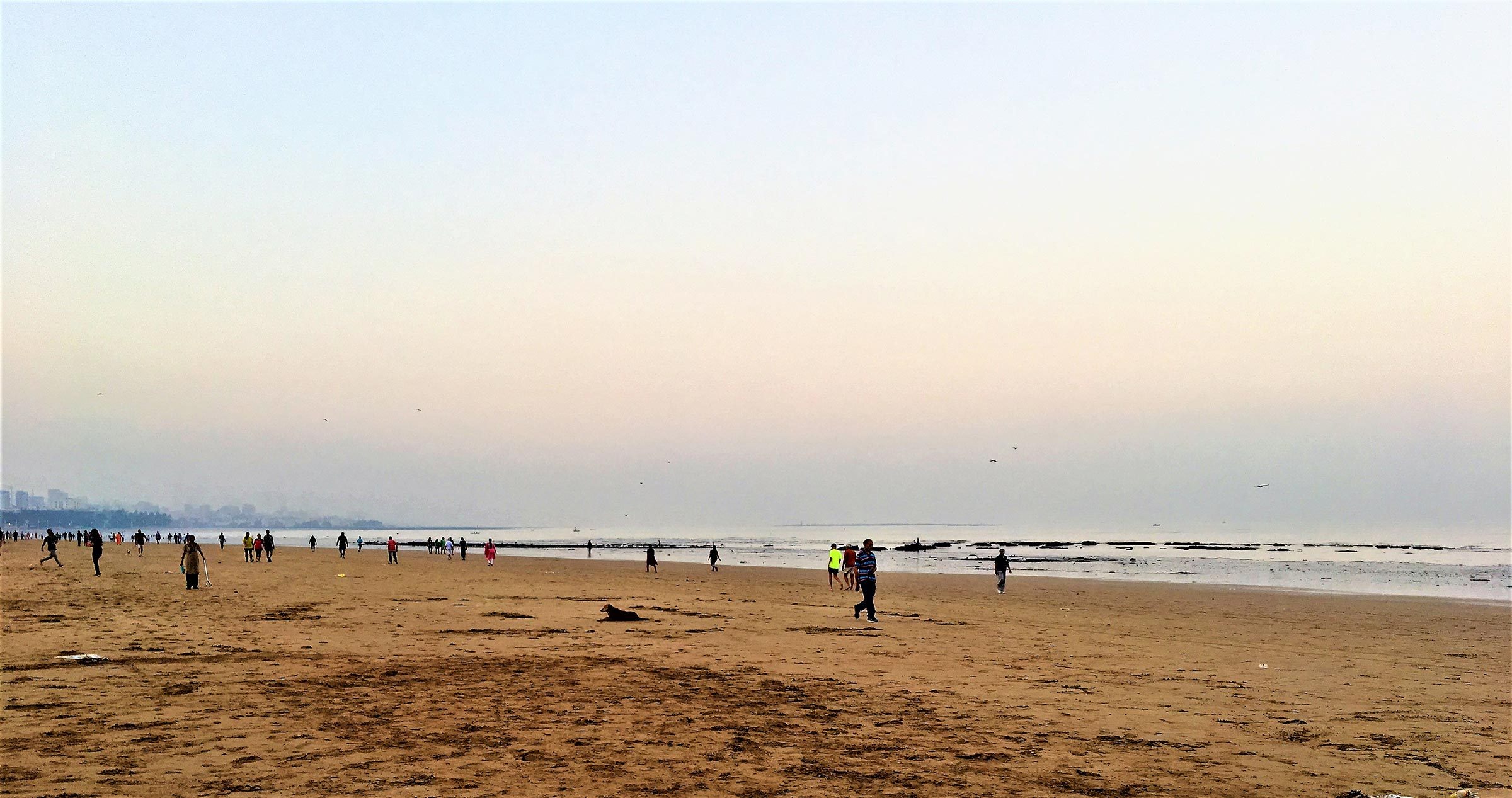 People stroll along a wide sandy beach, waves gently lapping the shore under a clear sky, with distant city buildings visible on the horizon.