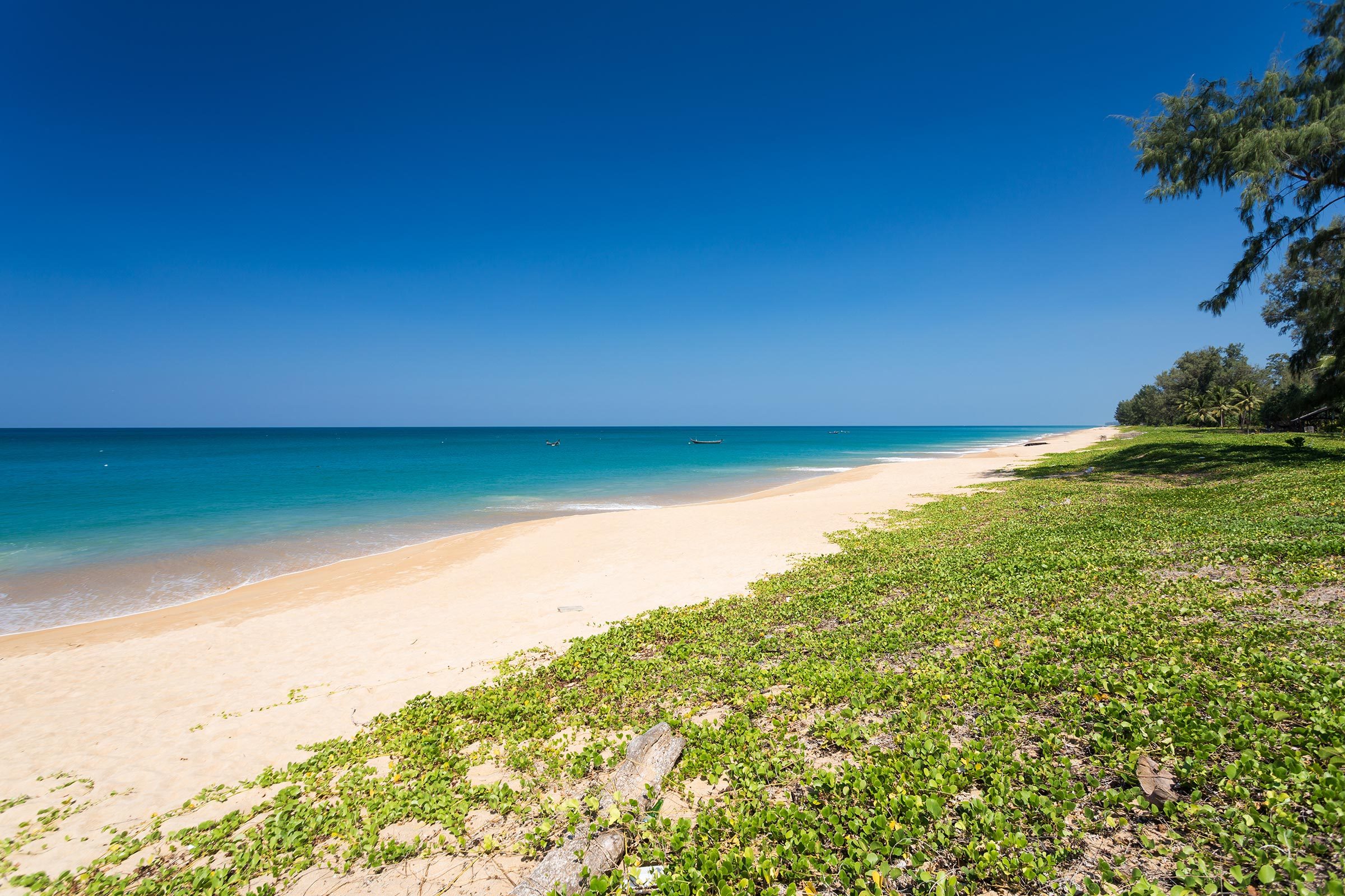 Beach stretches under clear blue sky, bordered by lush greenery on one side and calm turquoise ocean on the other.