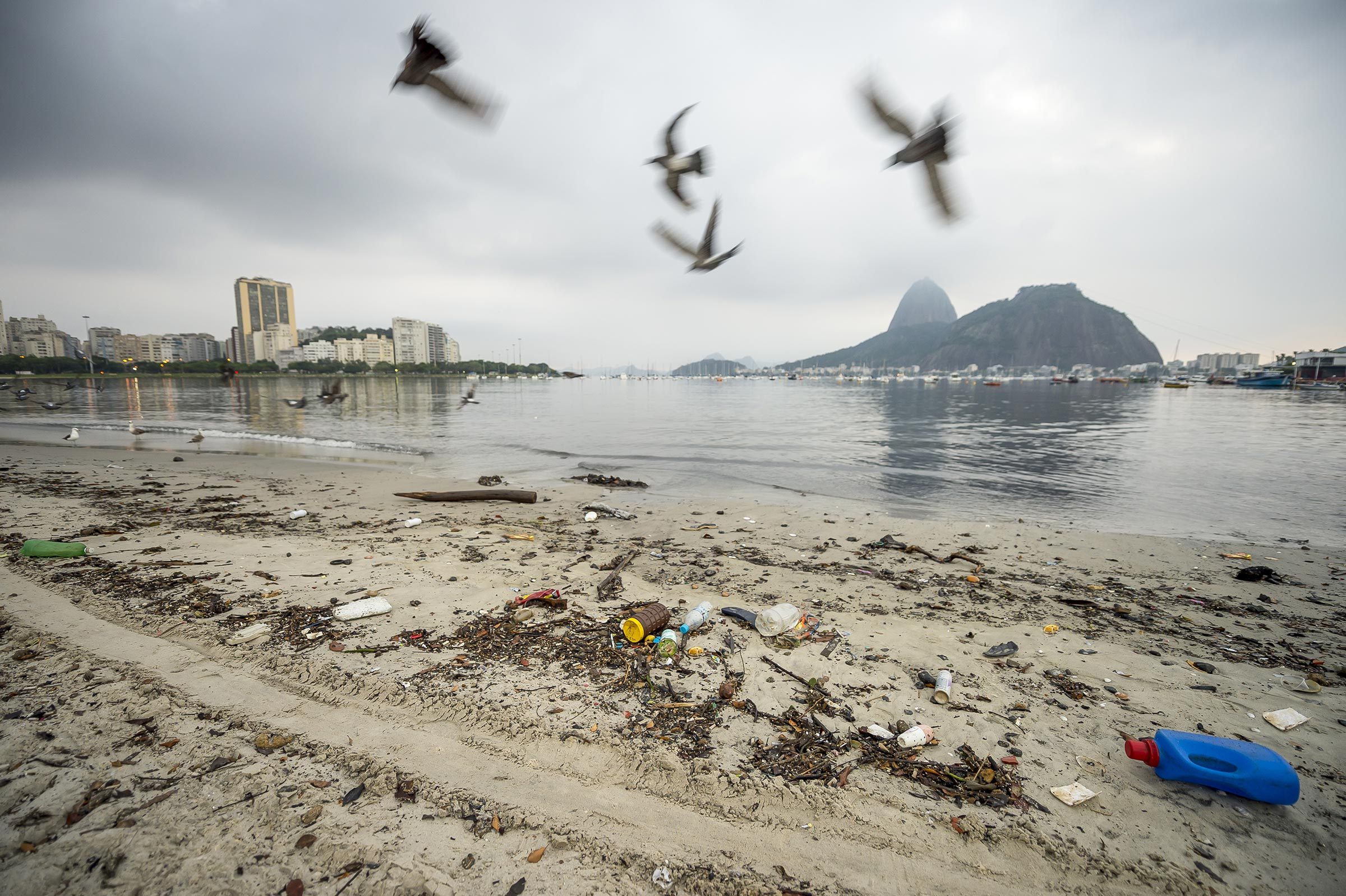Debris litters a sandy beach while birds fly above. Urban buildings and hills frame the background by the water.