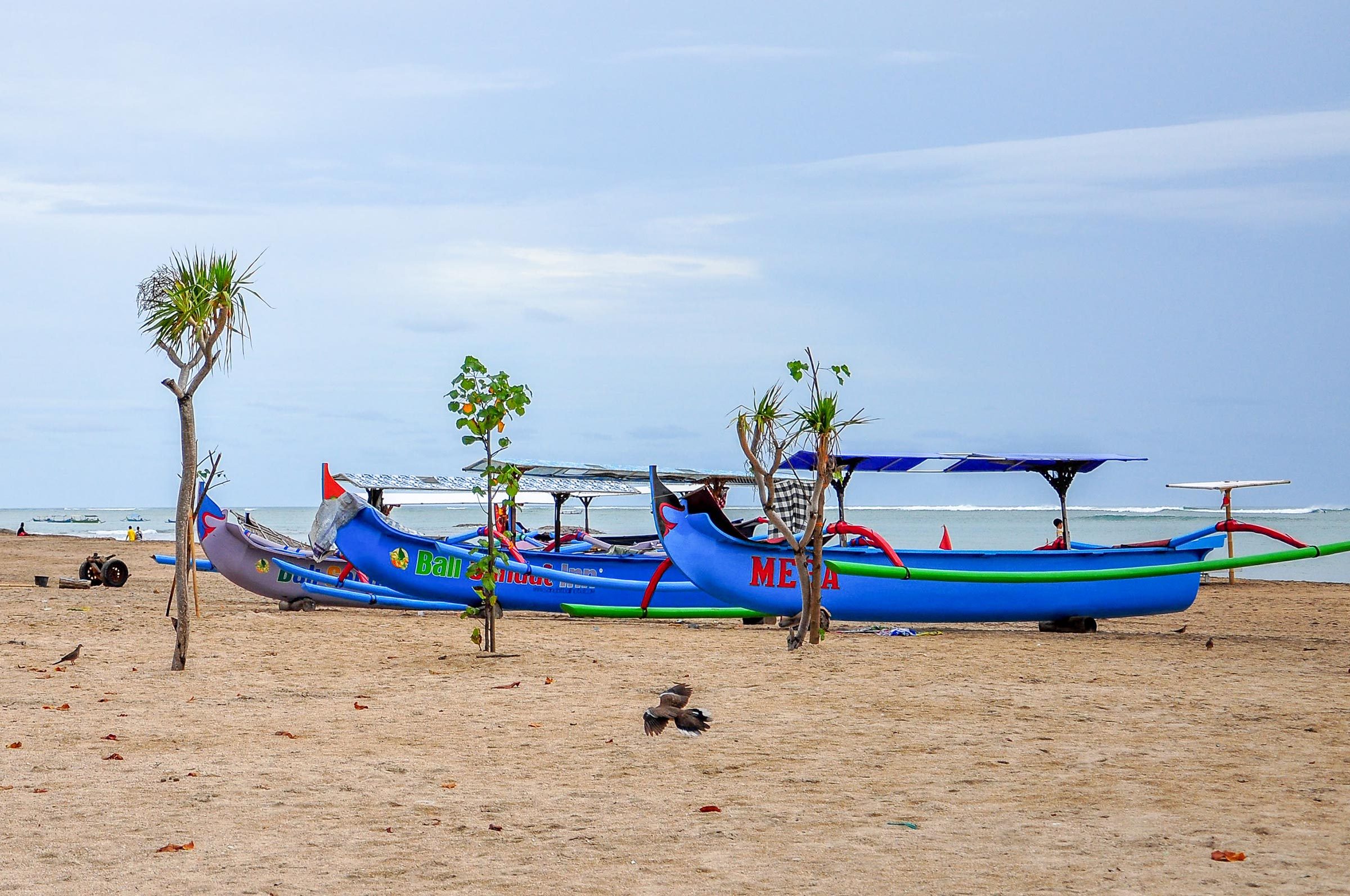 Boats rest on sandy beach next to small trees; ocean visible in background. Text on boats: "Bali" and "META." Bird seen flying nearby.