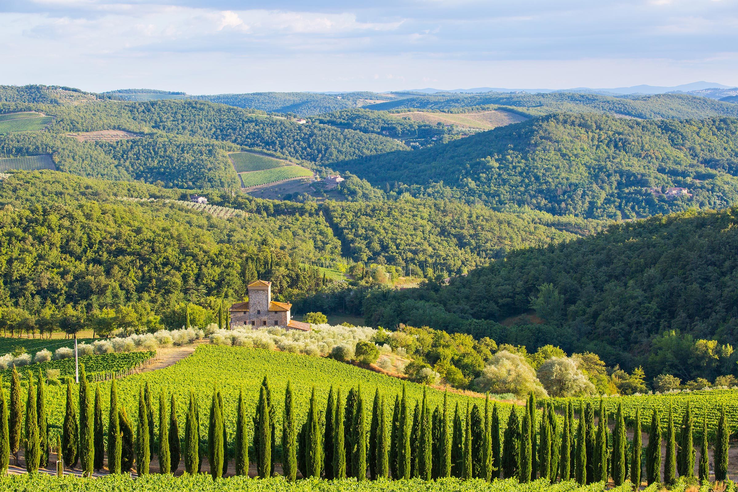 House nestled among vineyards and cypress trees, surrounded by lush green hills under a clear, blue sky.