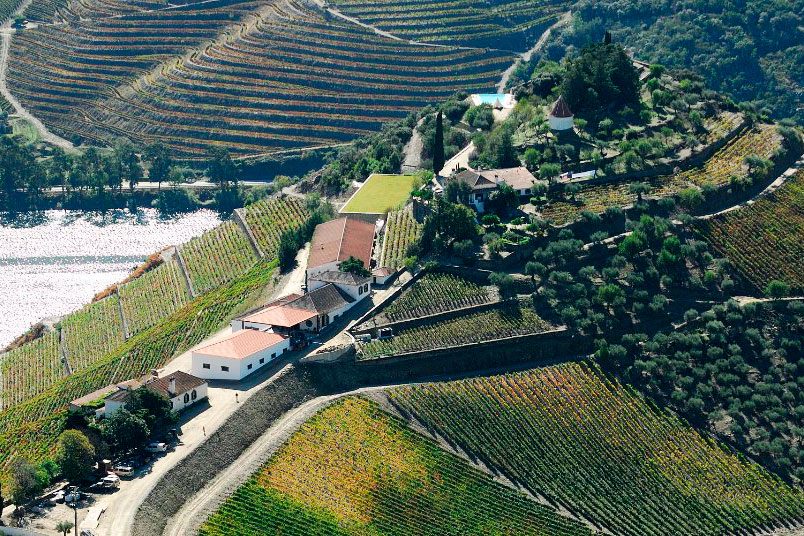 Vineyard terraces cover rolling hills; with buildings nestled among lush greenery and a river flowing beside, creating a scenic agricultural landscape.