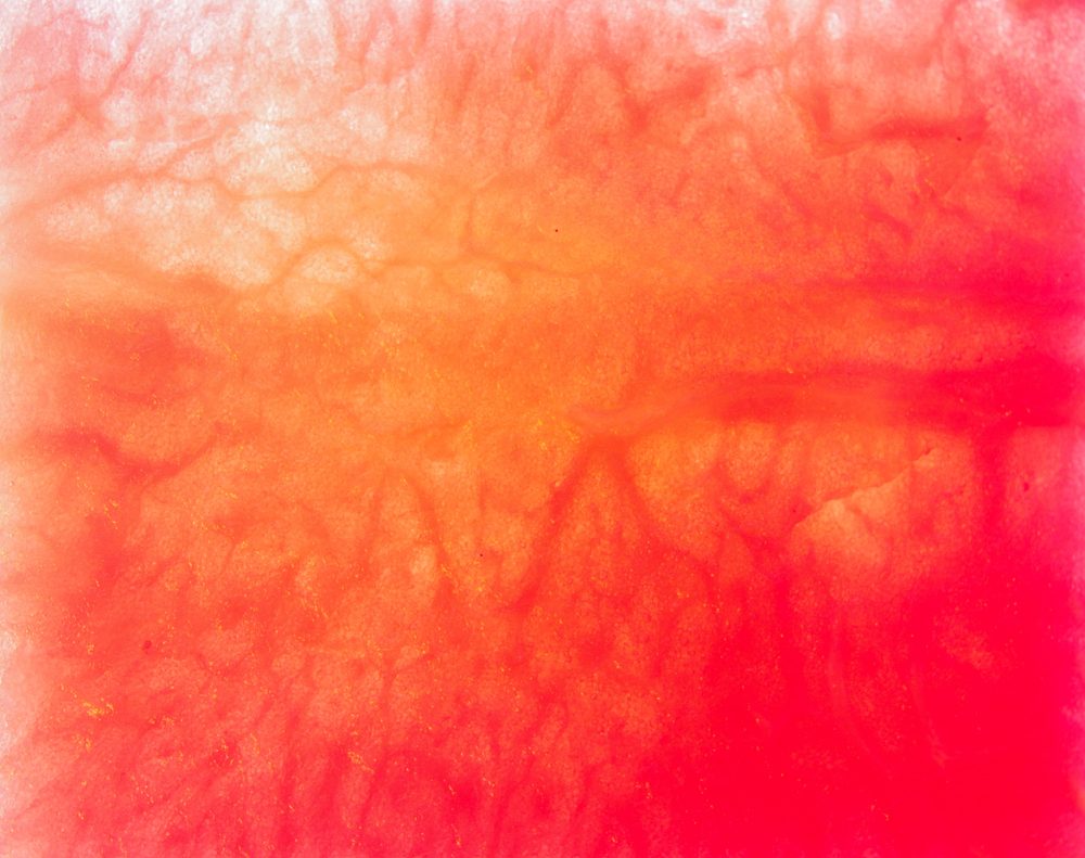 Internal watermelon fruit structure macro close up