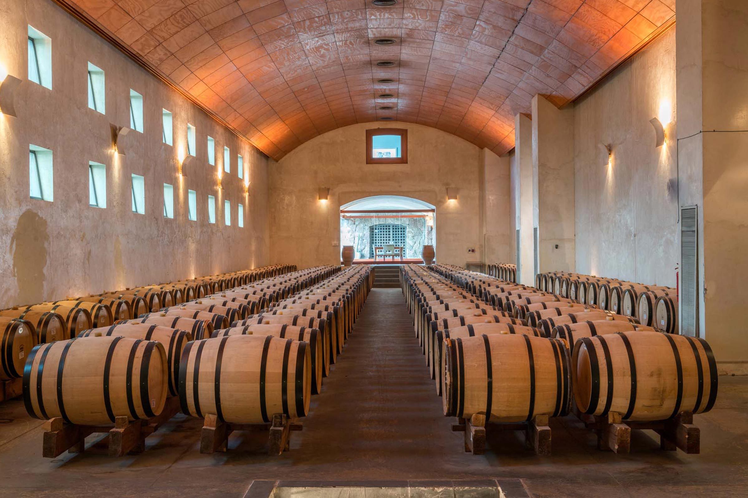 Rows of wooden barrels rest neatly in a vaulted cellar with stone walls and soft lighting from small windows above.