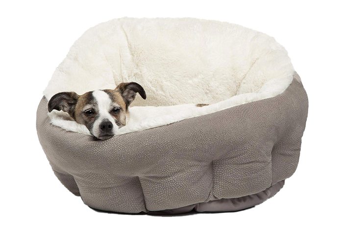 dog bed