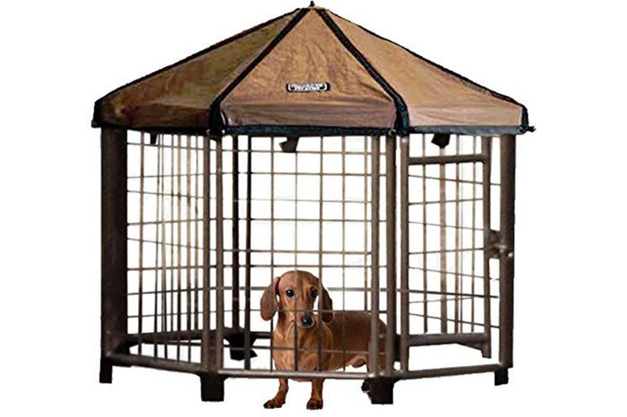 pet cage 