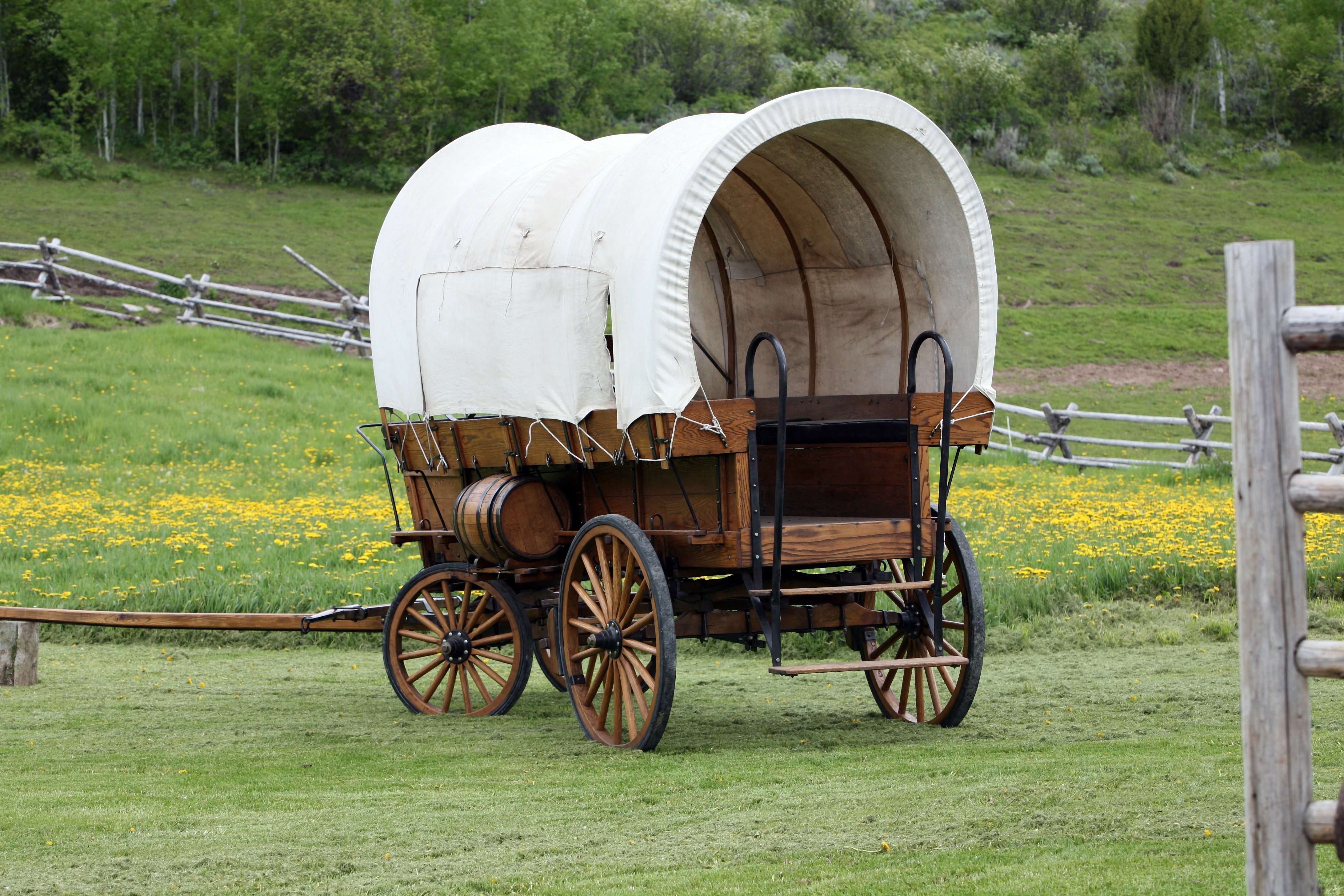 A wooden covered wagon rests in a grassy field, surrounded by yellow flowers and a wooden fence, with trees in the background.