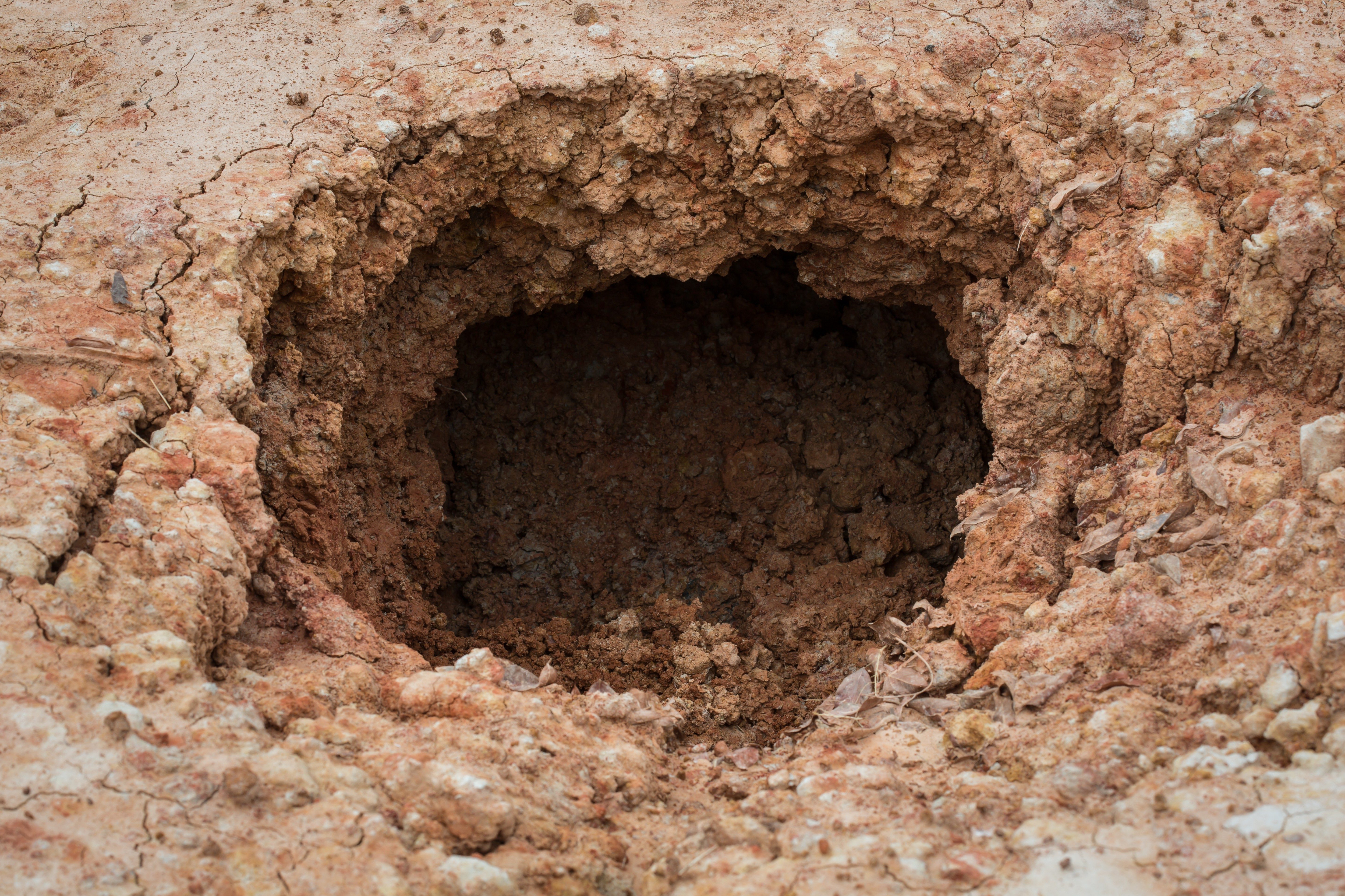 A large, rough-edged hole in the reddish-brown, cracked earth, surrounded by dry leaves and debris.