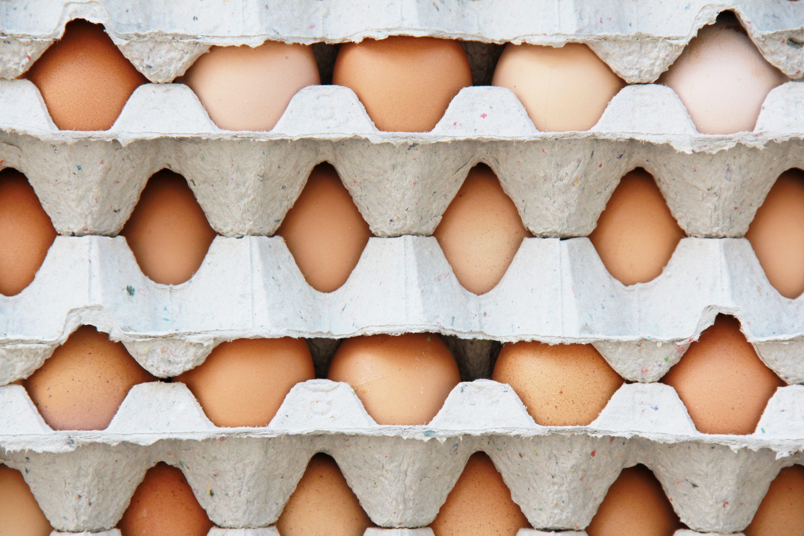 background of a pattern of packs of egg