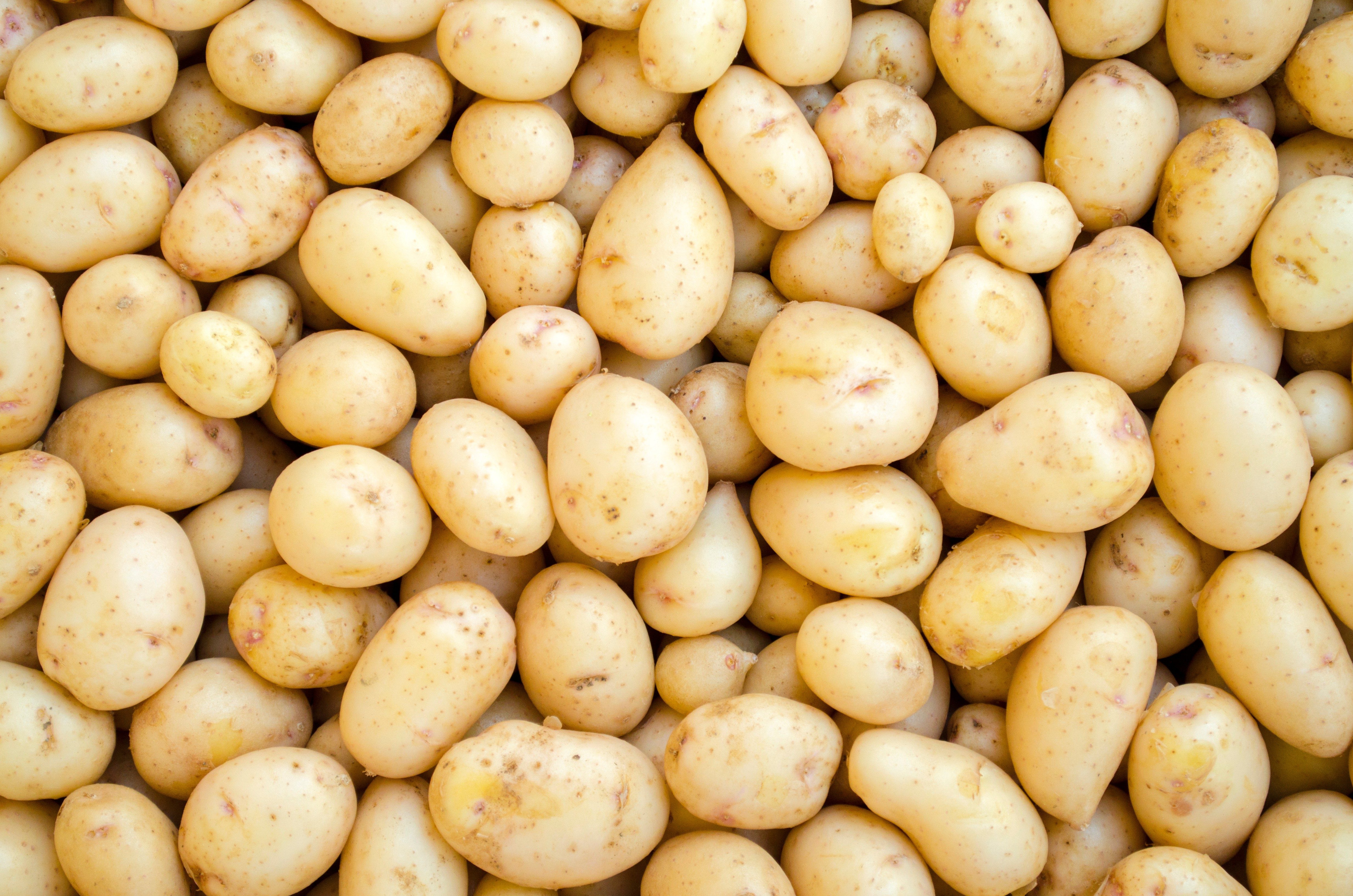 Potatoes lie scattered closely together, creating a compact, overlapping arrangement.
