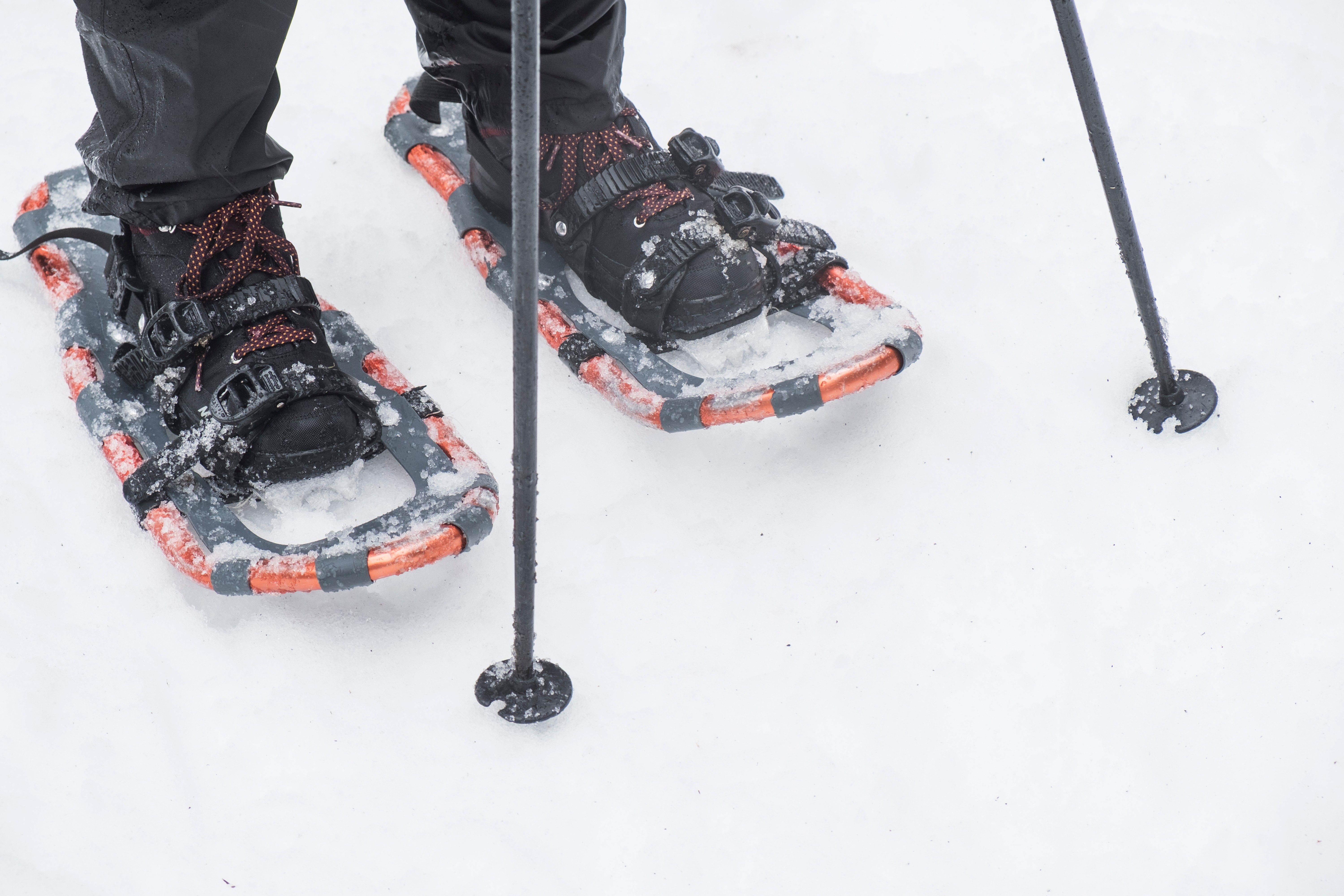 Snowshoes supporting a person walking on snow, with trekking poles providing stability in a snowy landscape.