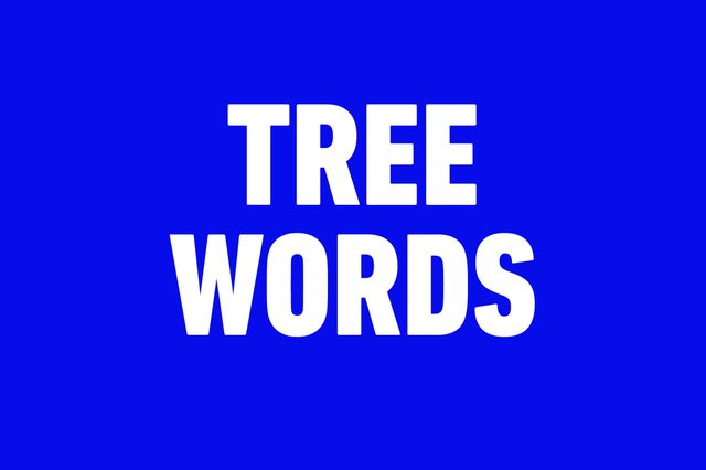 White text "TREE WORDS" displayed on a solid blue background.