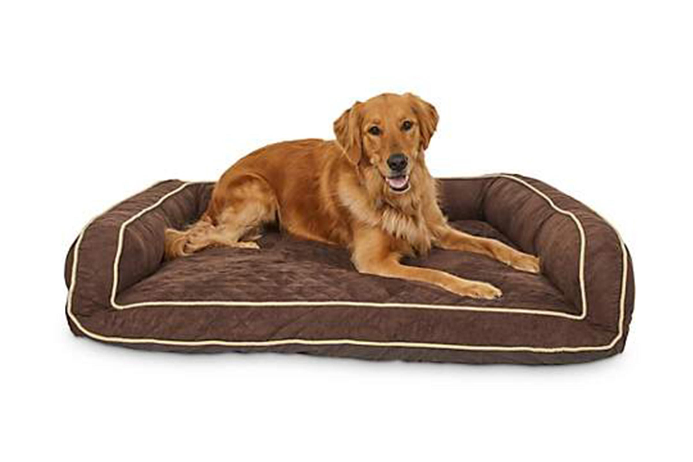 dog bed