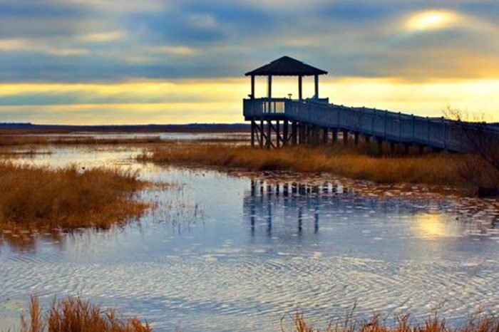 17_LouisianaNorth-Beach,-Lake-Charles