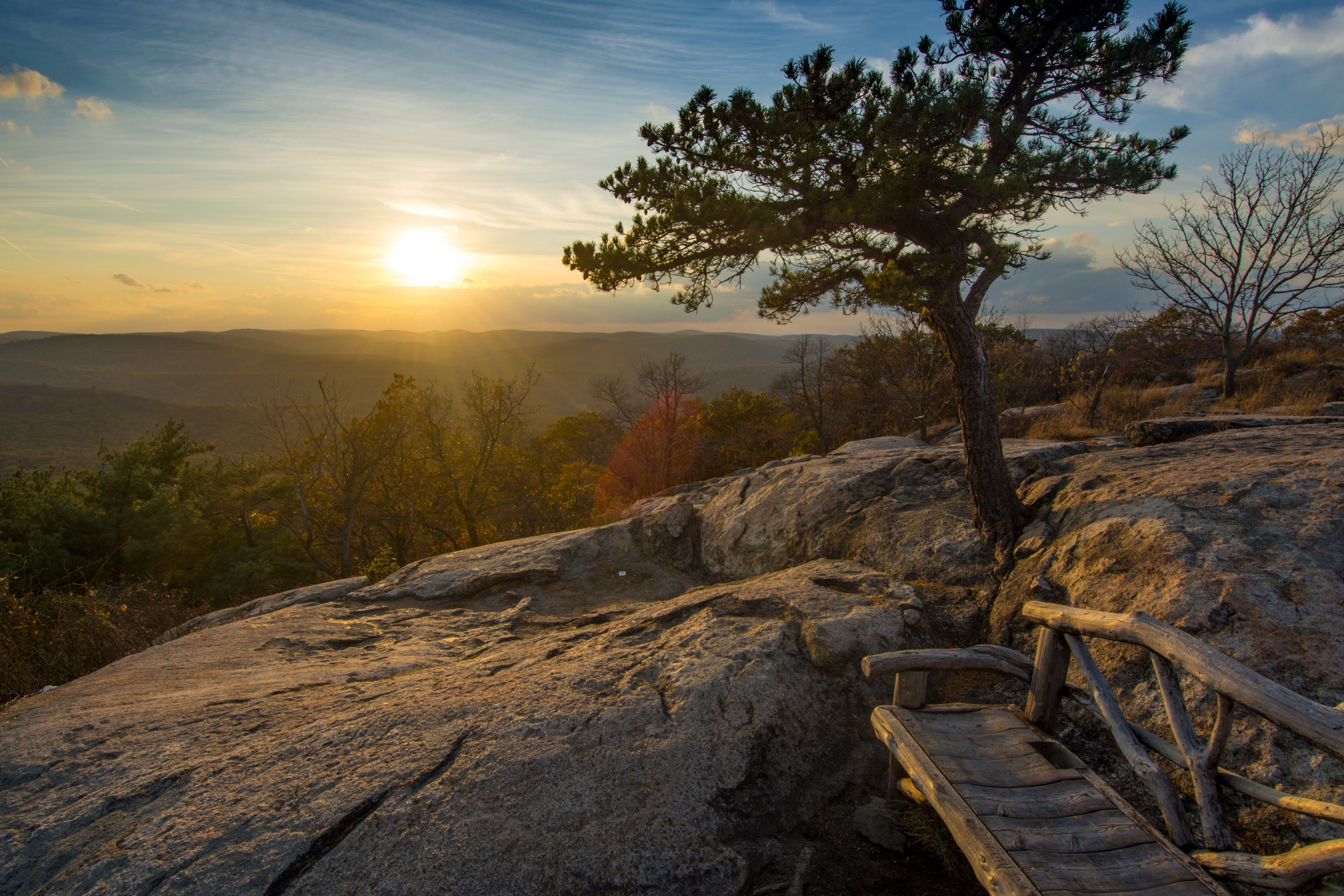 Tree stands on rocky hill with wooden bench; sun sets over distant mountains and scattered trees, casting warm light.