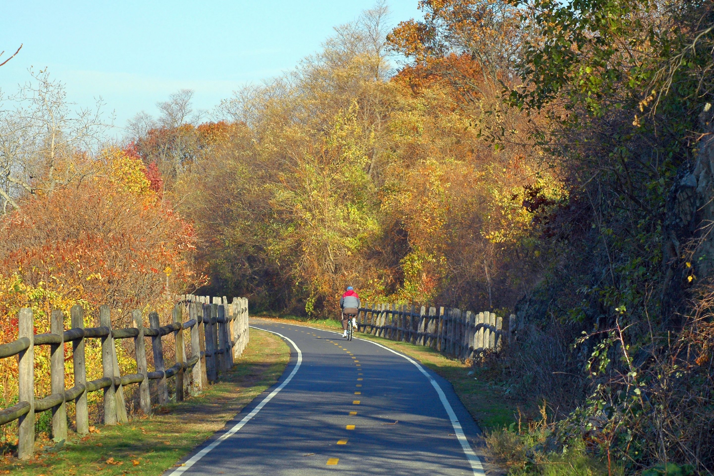 A cyclist rides along a winding path, surrounded by colorful autumn trees and wooden fences.