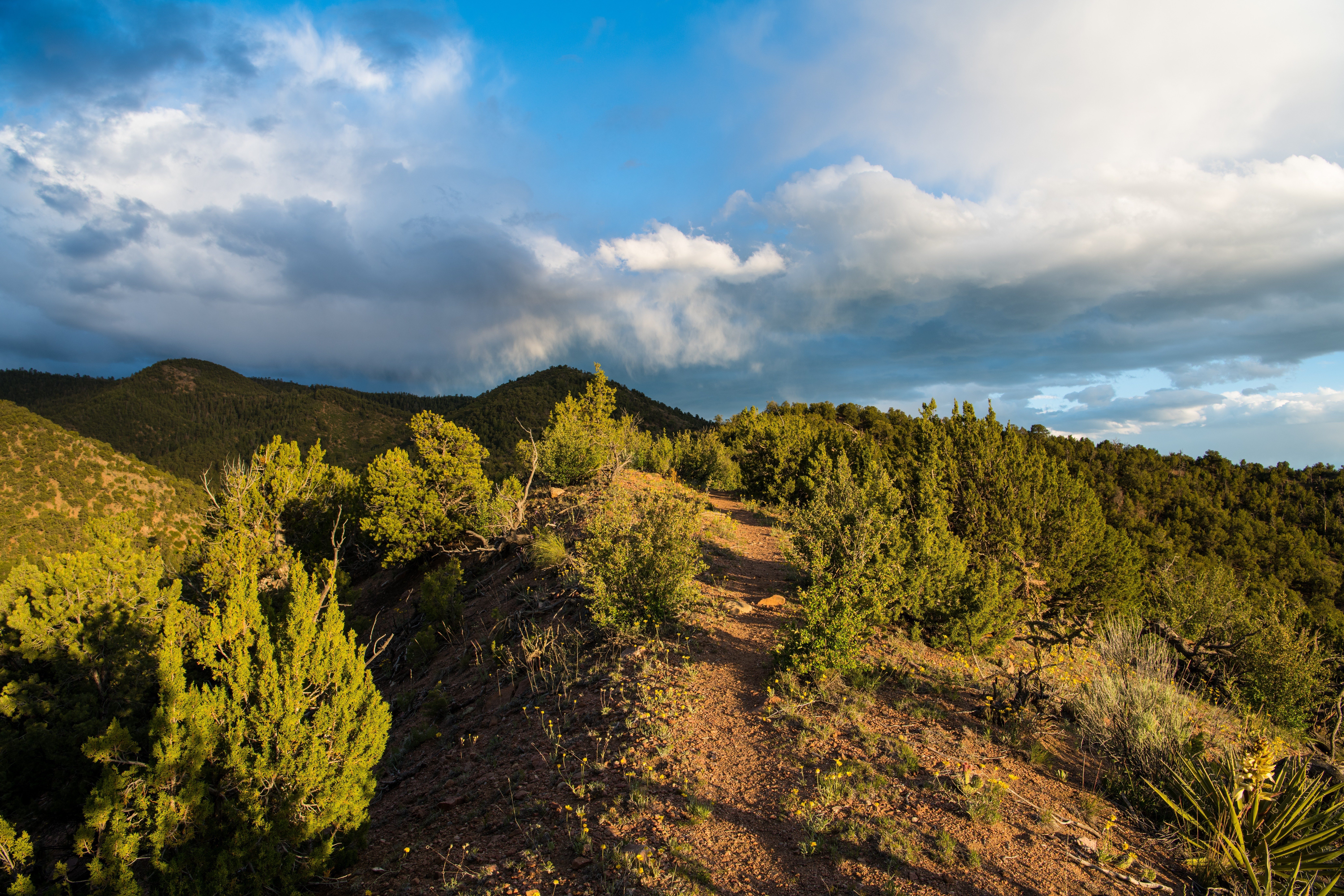 A sunlit dirt path winds through green shrubs on a hilltop, beneath a dramatic sky filled with large, billowing clouds.