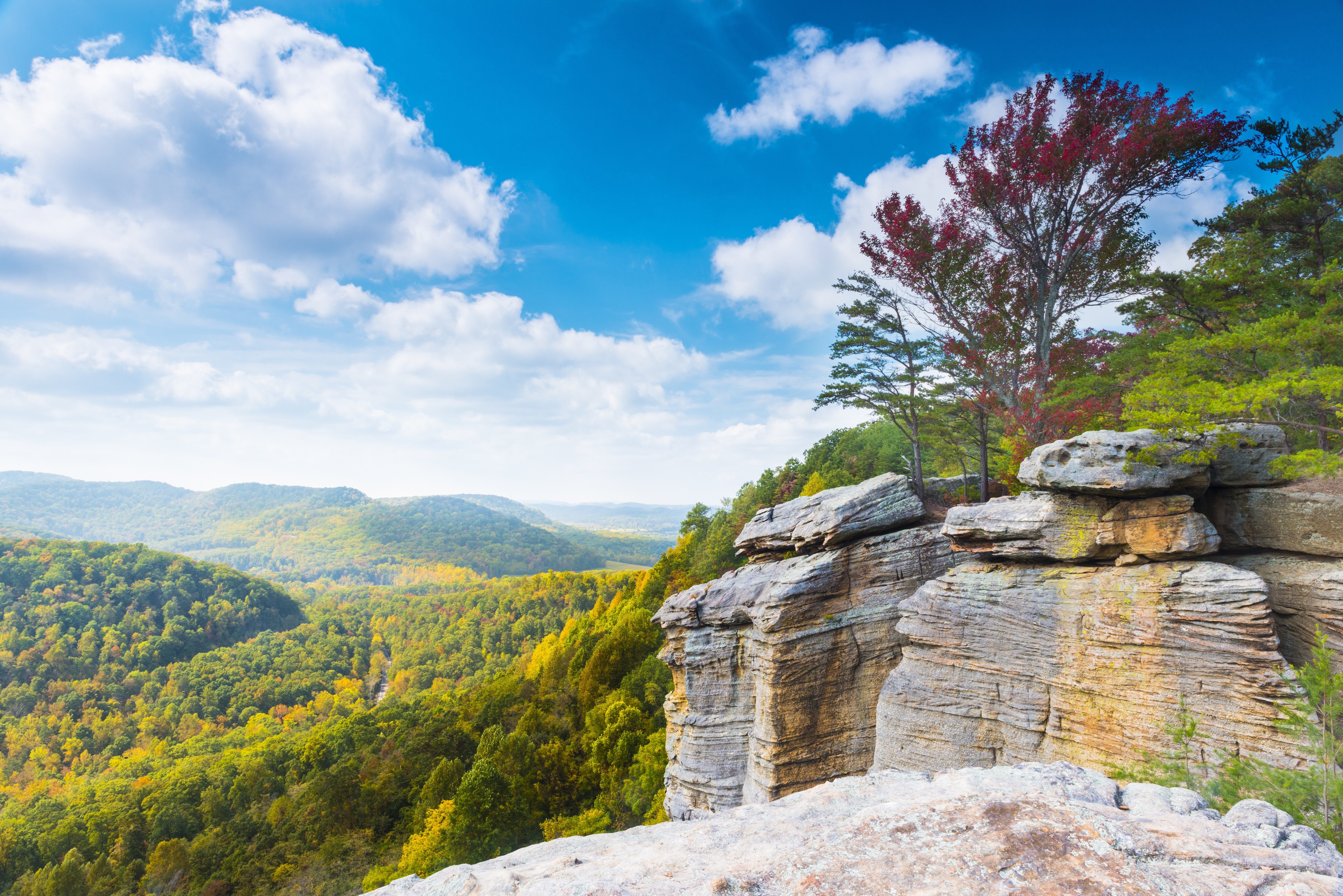 Rocky cliff overlooks dense forest, featuring colorful autumn trees under a bright blue sky with scattered clouds.