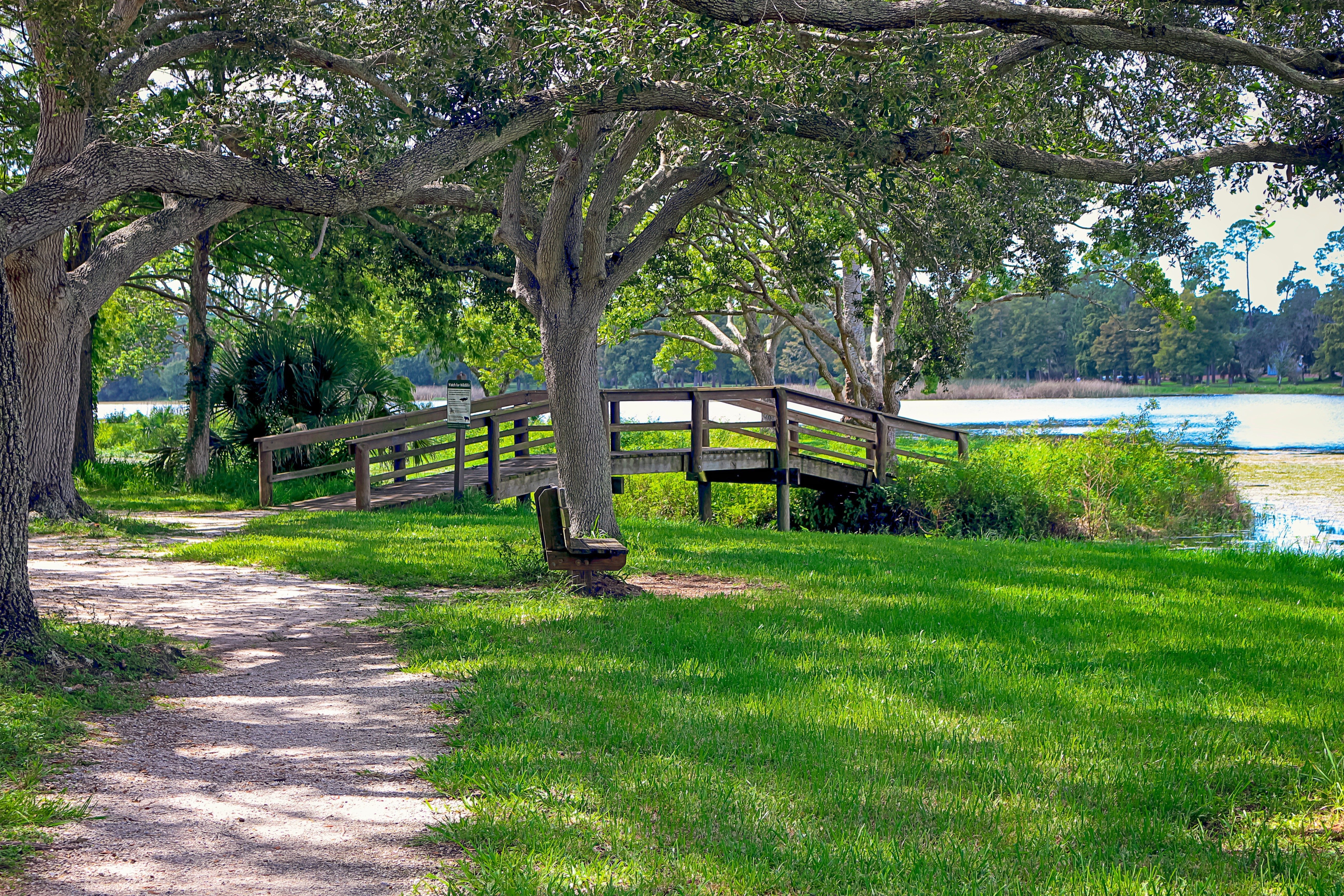 A wooden bridge crosses lush grass beside a tree-lined path, overlooking a tranquil lake under a bright sky.
