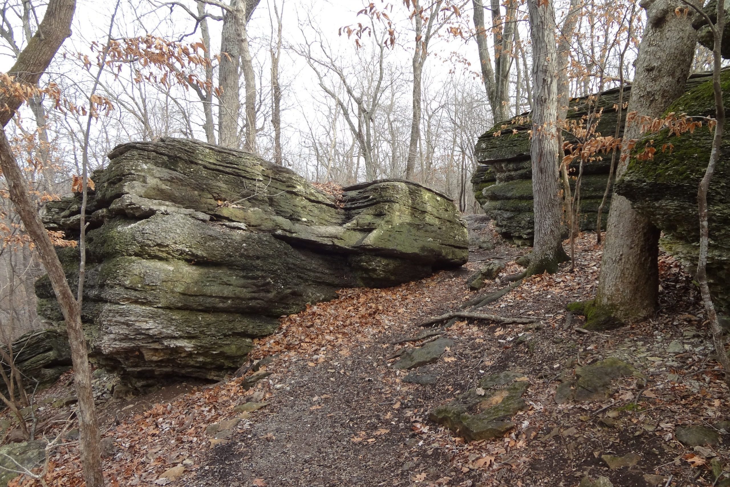 Large rocky formations stand amidst bare trees, with a leaf-covered ground and a narrow dirt path winding through a forest setting.
