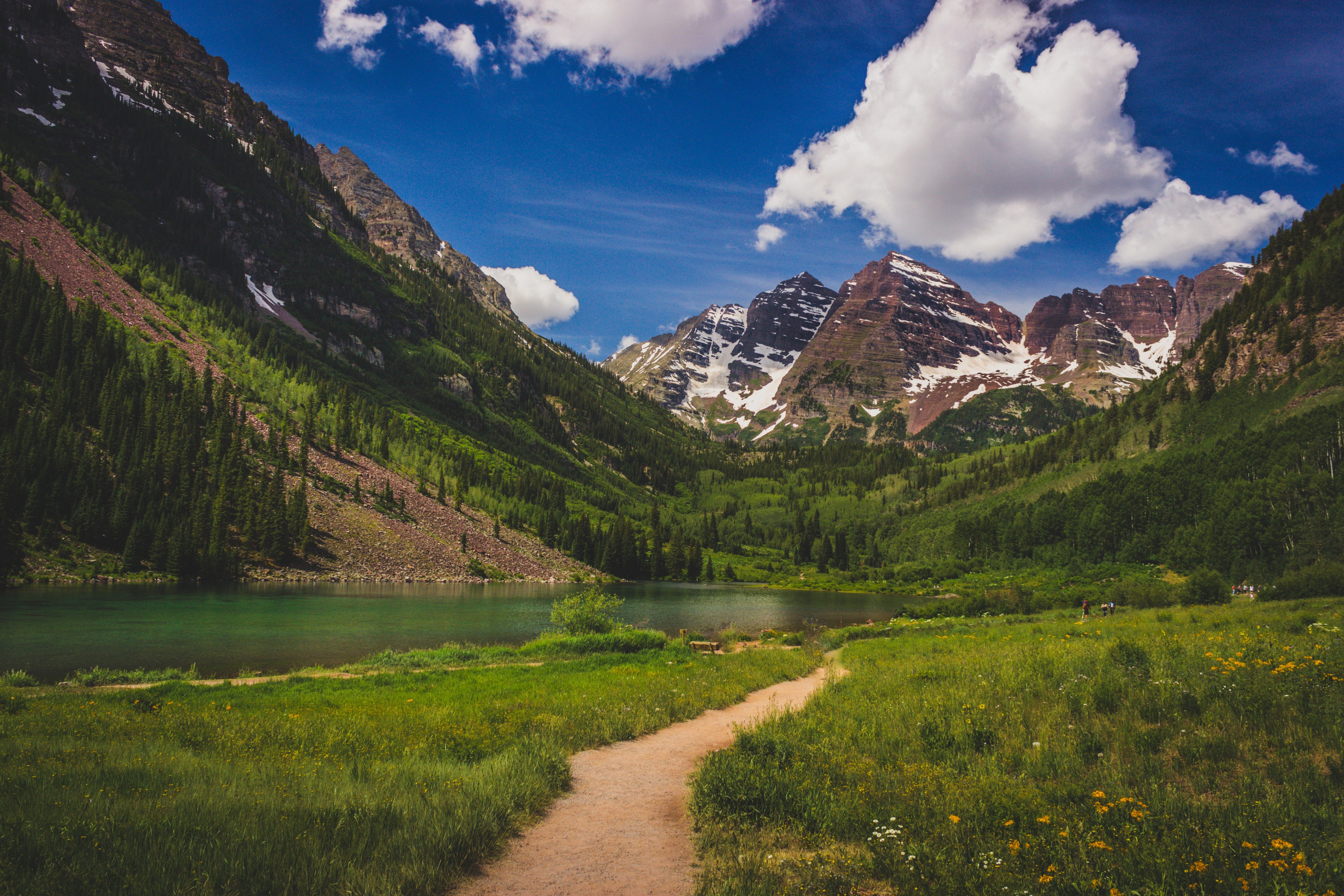 Pathway leads through lush meadow towards snow-capped mountains under a bright blue sky with white clouds.