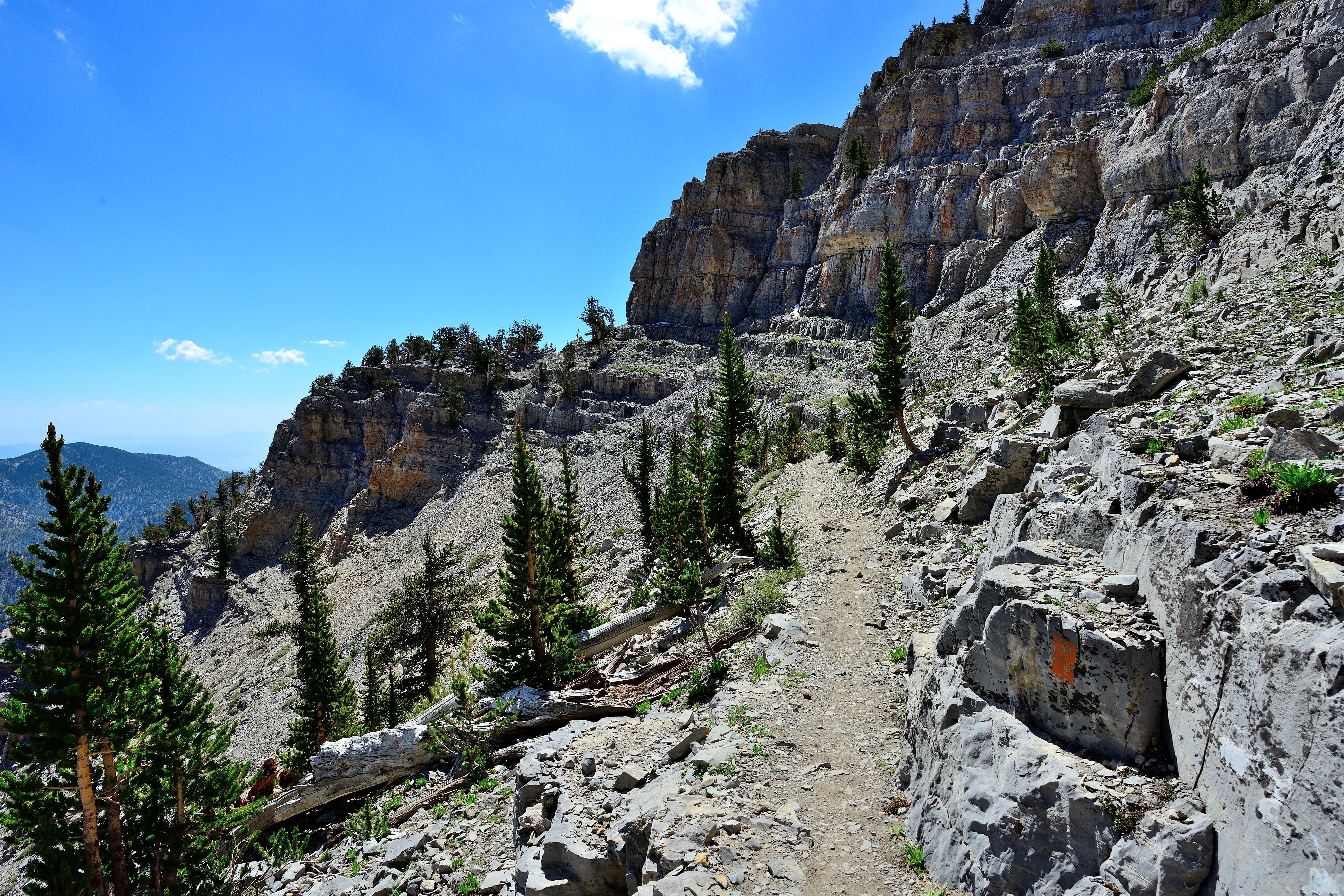 Rocky mountain path winds through pine trees beneath a clear blue sky. Rocky cliffs rise sharply to one side.