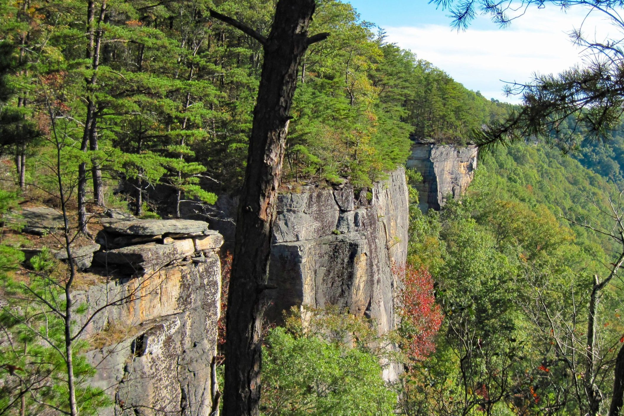 Cliff edges are lined with pine trees overlooking a dense forest canopy under a clear blue sky.