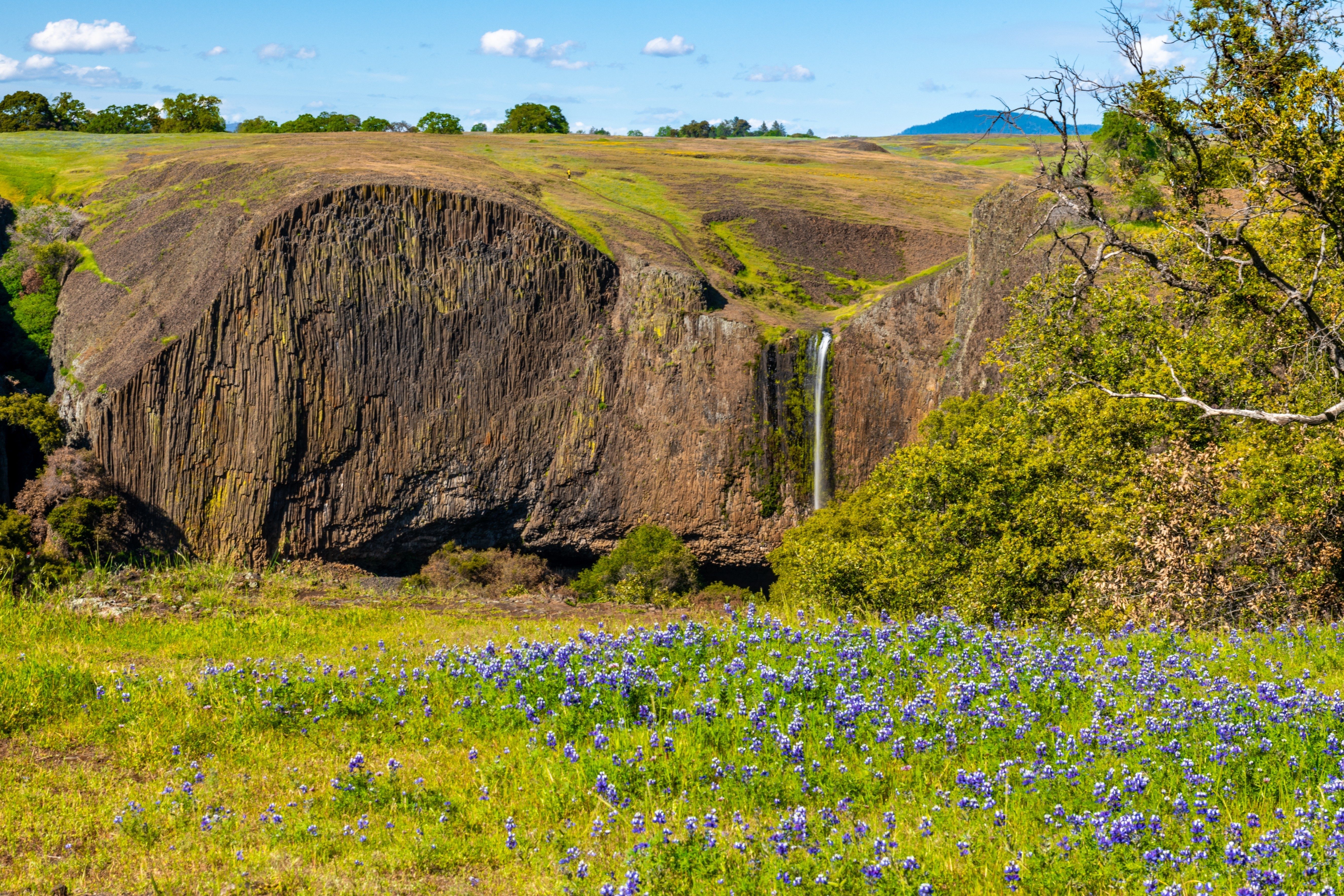 Waterfall cascades down basalt cliffs, surrounded by vibrant green fields and purple wildflowers under a clear blue sky.
