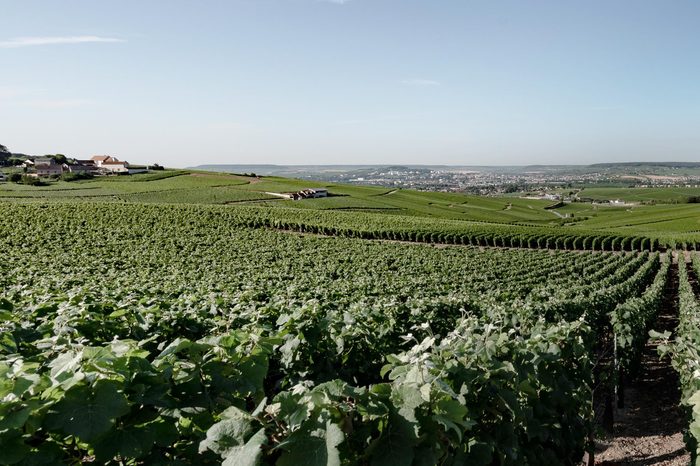 Royal-Champagne-Hotel-Spa