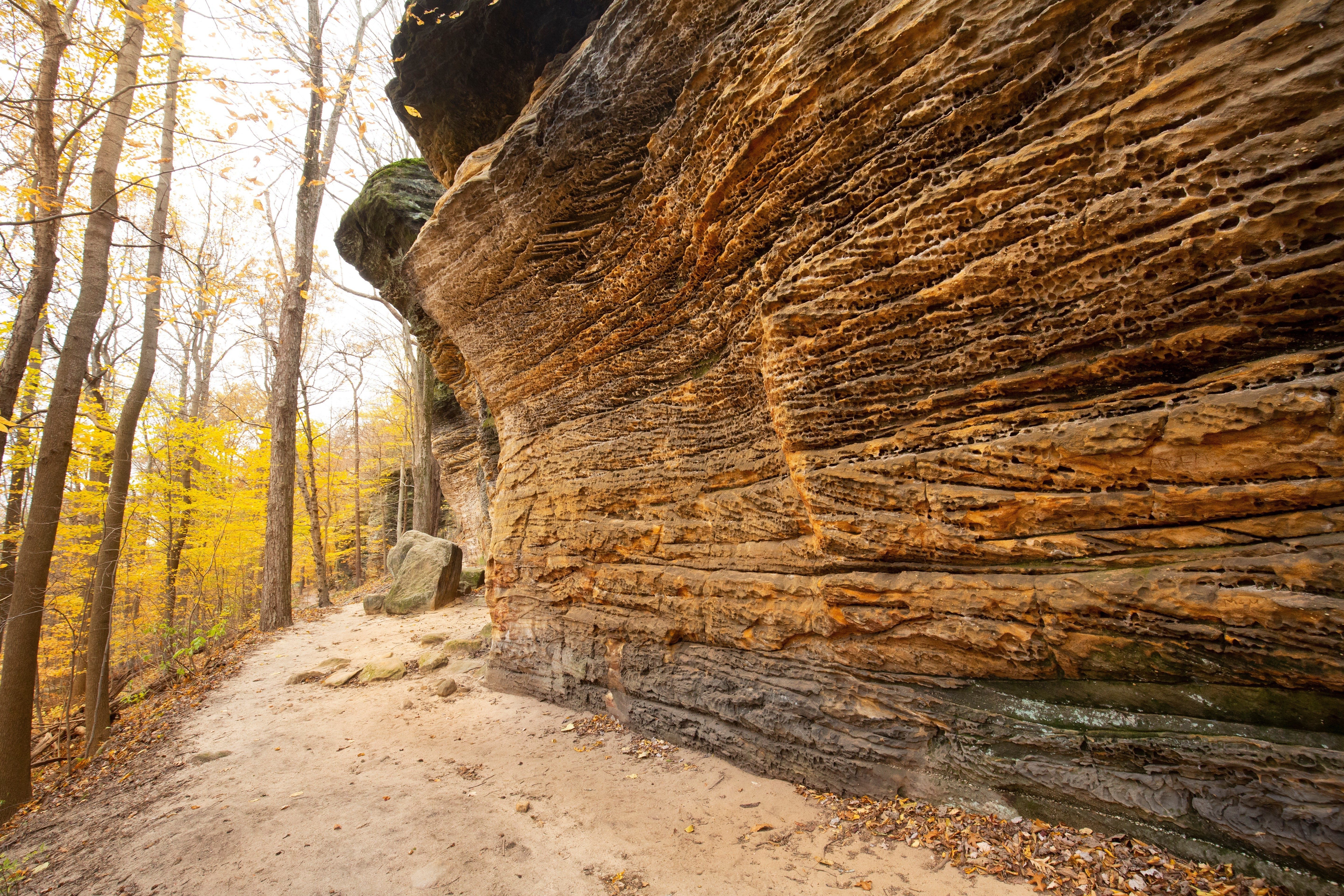 Rock wall curves along a dirt path, surrounded by autumn trees with yellow leaves in a wooded area.