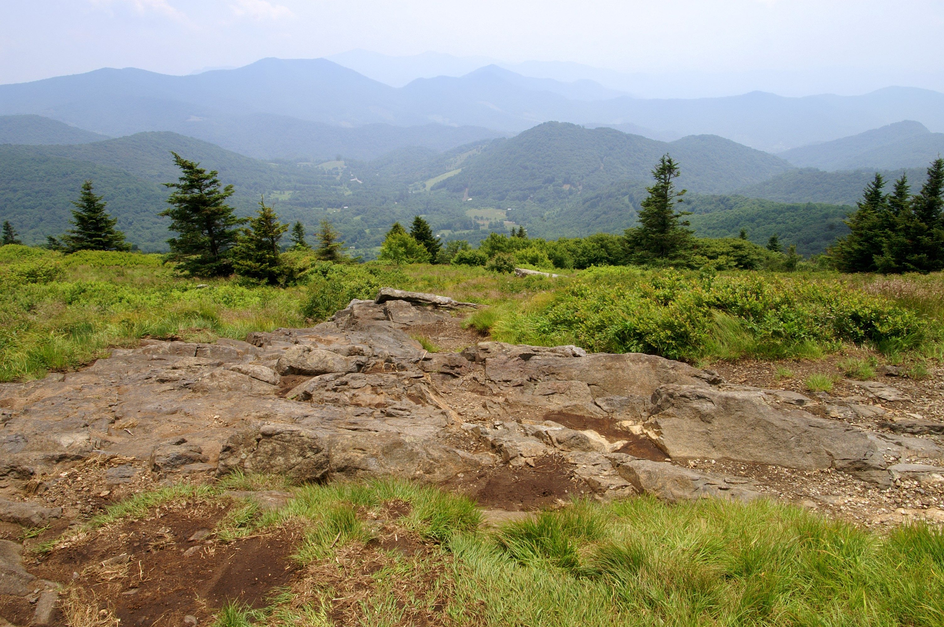 Rocky path stands still, surrounded by lush green grass and scattered trees, with distant blue mountains in the background under a hazy sky.