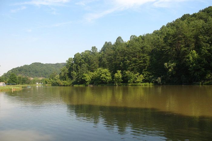 11 Lucky Things to Always Keep in Your Home