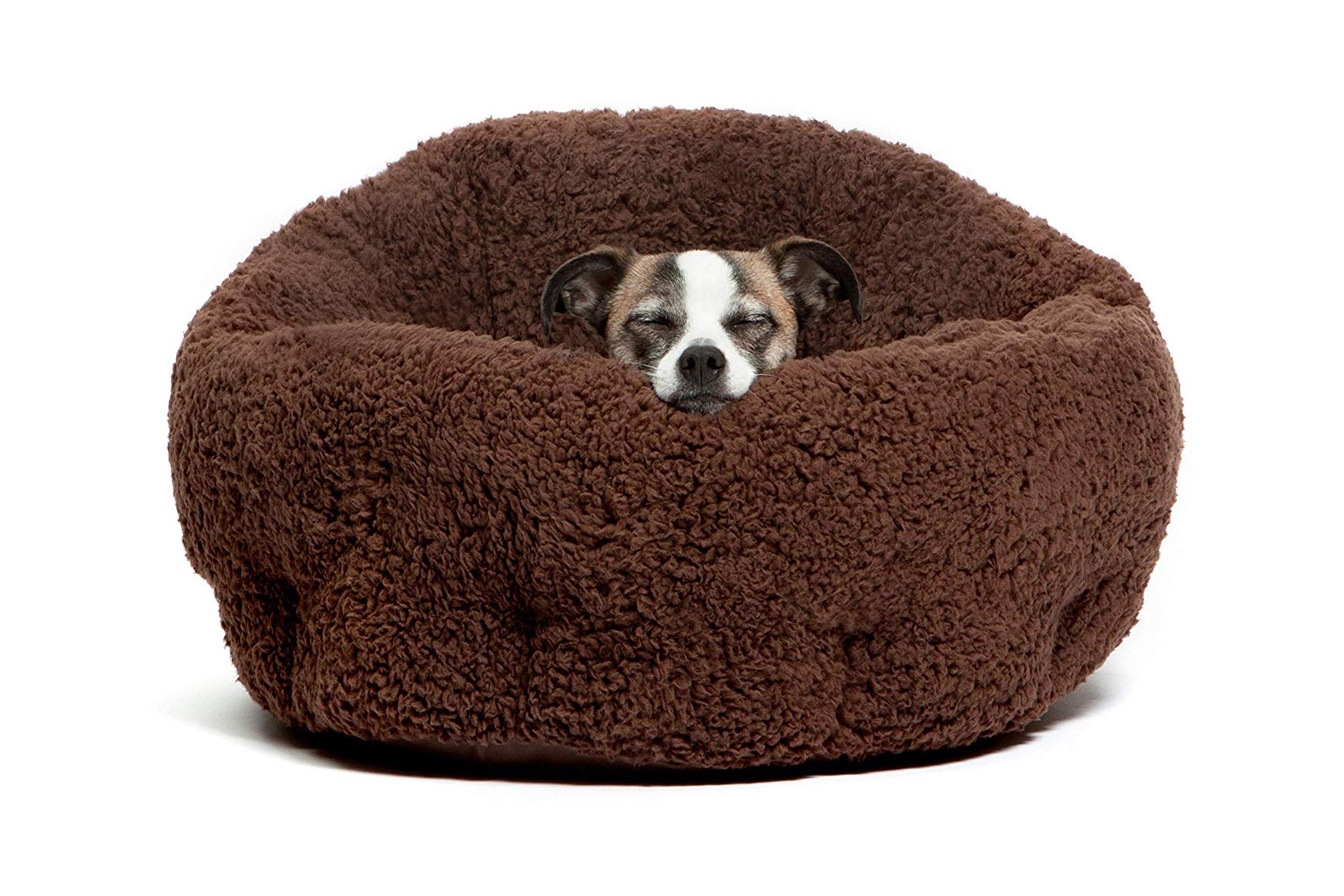 dog bed