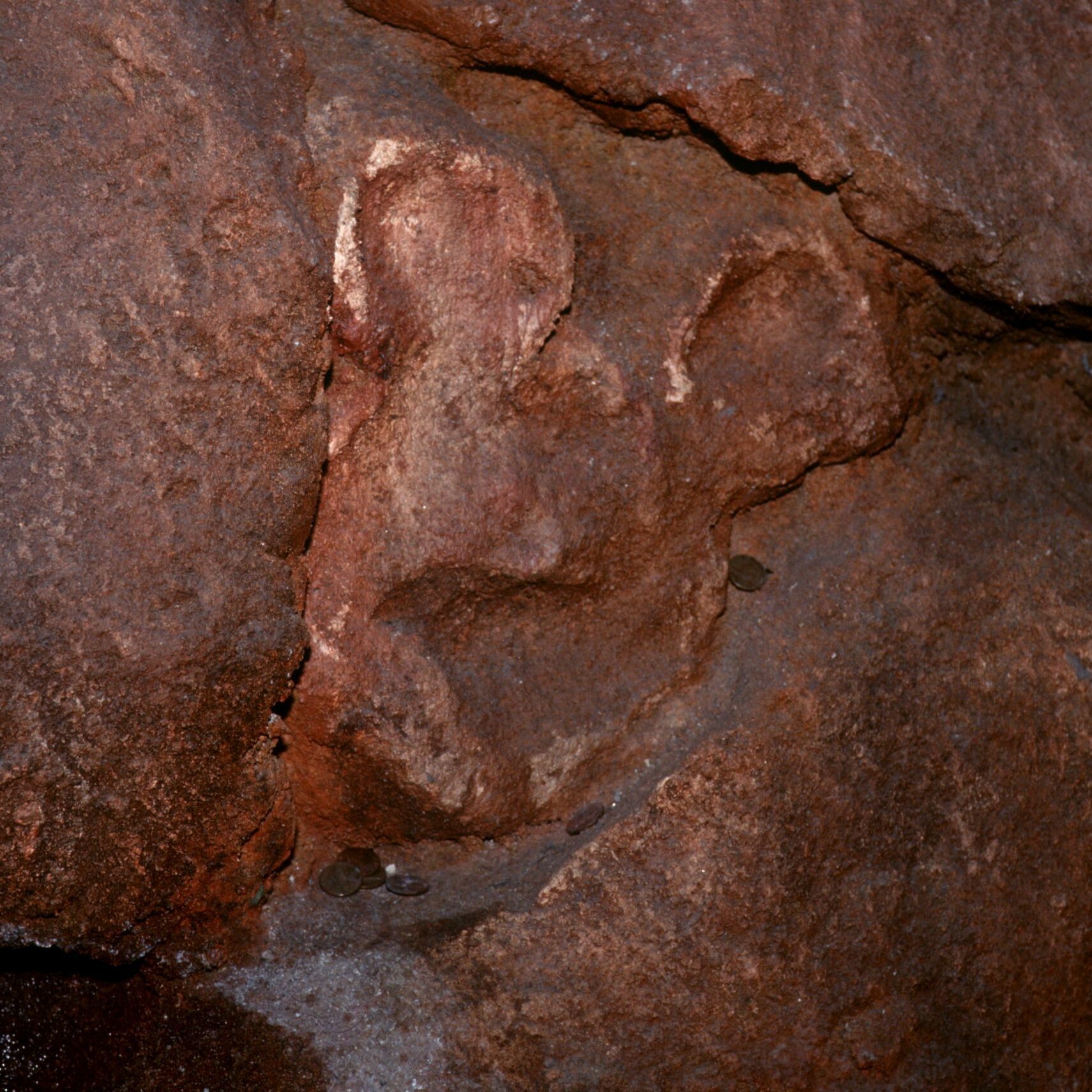 Rough stone surface depicts carved Mickey Mouse shape amidst weathered rock texture. Coins rest in crevices, suggesting informal offerings in a natural setting.