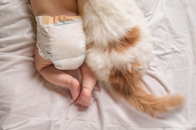 Baby wearing diaper lying with fluffy cat on bed.