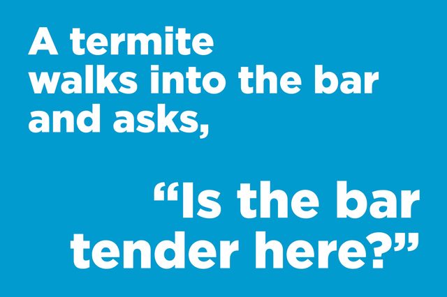 Text displays a termite asking humorously in a bar context, "Is the bar tender here?" against a blue background.