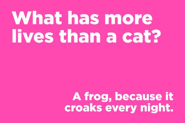 Text on a pink background asks a question: "What has more lives than a cat?" Answer: "A frog, because it croaks every night."