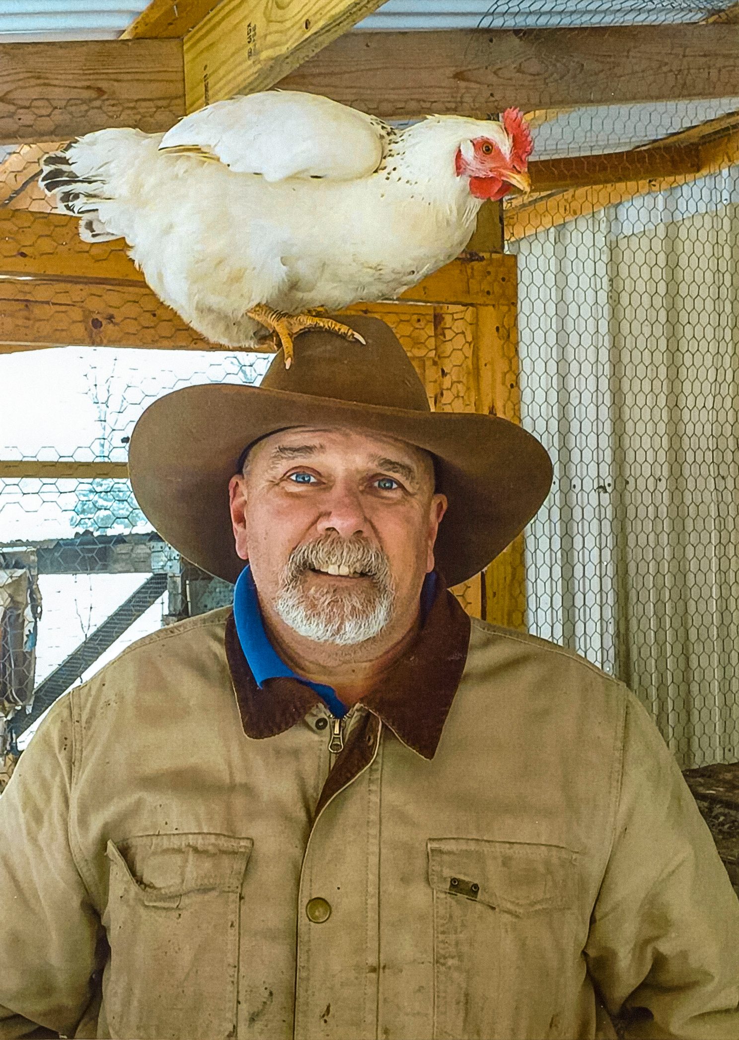 chicken on farmers head
