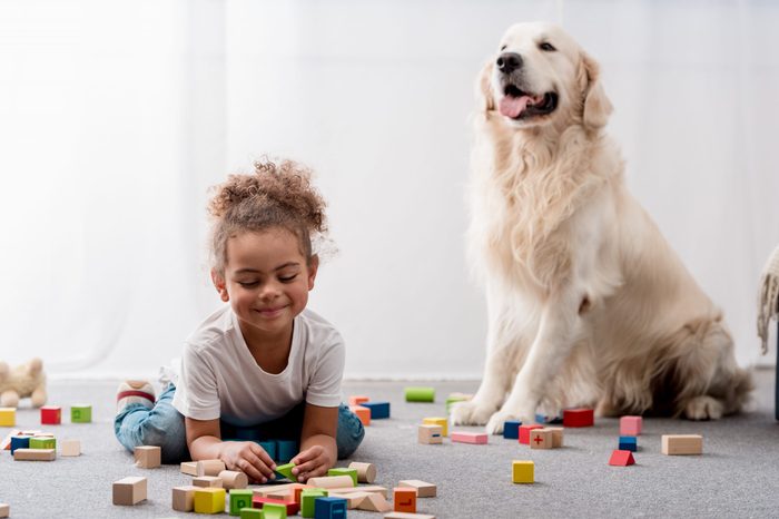 Adorable african american child playing with toy cubes and dog