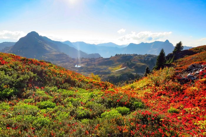 North Cascade Range, Washington / USA: Autumn at the Yellow Aster Butte hiking trail