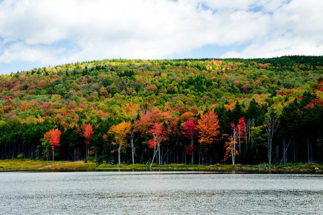 Trees display vibrant autumn colors, standing by a calm lake, with a forested hill in the background under a partly cloudy sky.